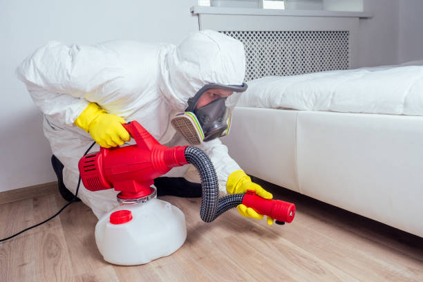 Emergency Pest Control Services in Nashville, IL